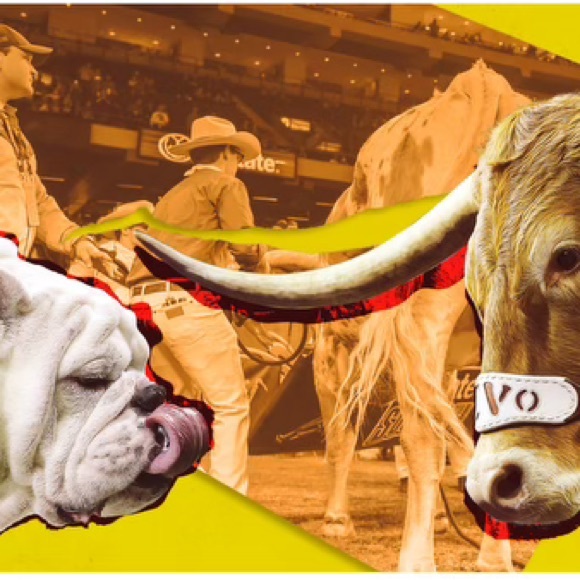 Like to be notified when I go live - Picture 3 of 10